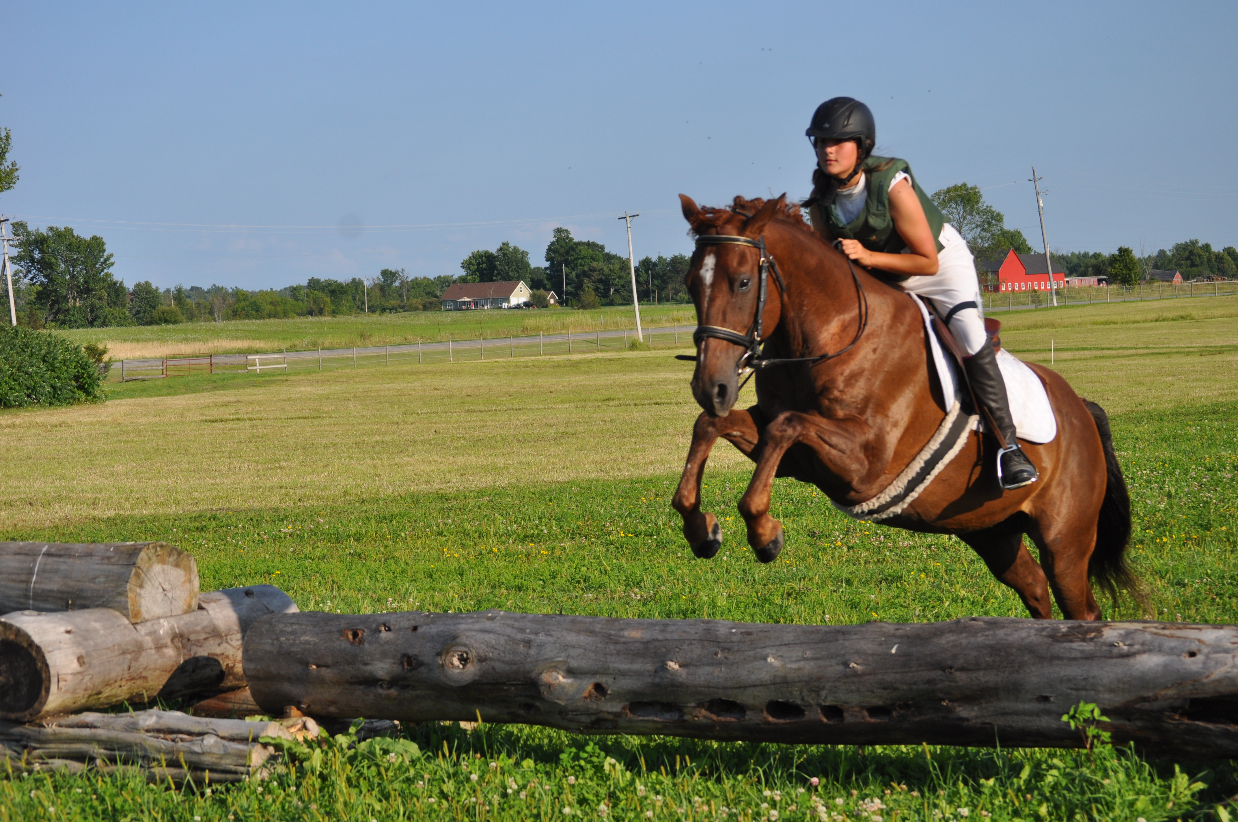 Clicker training for dressage horses